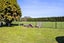 552 Mountain Road, Lepperton, New Plymouth - Carousel 24