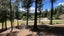 0 Letts Gully Road, LETTS GULLY, Alexandra - Carousel 1