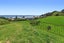 59 Pohutukawa Drive, Waiotahe, Opotiki - Carousel 31