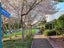 29 Phar Lap Crescent, Takanini, Auckland - Carousel 5