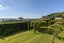10 Hazel Terrace, Otumoetai, Tauranga - Carousel 25