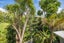 15/7 Claybrook Road, Parnell, Auckland - Carousel 3