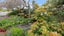 12 Graven Court, Henderson, Auckland - Carousel 22