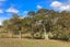 504 Falls Road, WAERENGA, TE KAUWHATA - Carousel 7