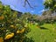 2225 Tiki Sh25 Road, PREECE POINT, COROMANDEL - Carousel 12