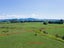 0 Old Waitekauri Road, Waikino, Waihi - Carousel 2