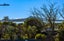 3/40 Mark Edward Drive, Half Moon Bay, Auckland - Carousel 4