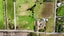 0 Nees Rd, Takaka, Takaka - Carousel 2