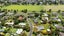 20 Cowley Drive, Leamington, Cambridge - Carousel 7