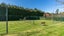 161 Hororata Road, Darfield - Carousel 40