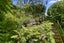 19B St Andrews Terrace, St Andrews, Hamilton - Carousel 23