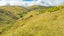 804D Pahiatua Pongaroa Road, Pahiatua, Pahiatua - Carousel 15