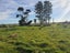 30 Old School Road, Awatuna, Hokitika - Carousel 41