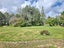 12 McEldownie Road, Ramarama, Drury - Carousel 10