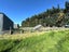 776 Ryal Bush Wallacetown Road, Wallacetown, Invercargill - Carousel 15
