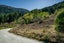 0 Closeburn Road, Closeburn, Queenstown - Carousel 8