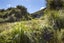 0 Orapito Road, Kaiuma Bay, Havelock - Carousel 11