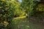 2 Brooke Terrace, Leamington, Cambridge - Carousel 17