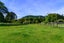 31 Western Road, Ngongotaha, Rotorua - Carousel 8