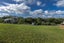 121 Elmore Road, Albany - Carousel 4