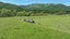 150 Puriri Valley Road, PURIRI, THAMES - Carousel 8