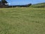 38 Taieri Beach Road, TAIERI BEACH, TAIERI MOUTH - Carousel 4