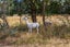 396 Kerrs Road, Christchurch - Carousel 27