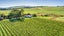 1114 Omihi Road, Omihi, Amberley - Carousel 1