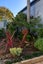 1/35 Arthur Street, Onehunga, Auckland - Carousel 29