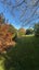 125 Charles Street, Blenheim, Blenheim - Carousel 5