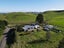 48 Elliott Road, Woodville - Carousel 2