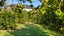 9 Church View Road, Waiau Pa, Pukekohe - Carousel 27