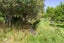 724 Norfolk Road, Upper Plain - Carousel 31