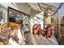 293 Queens Drive, Windsor, Invercargill - Carousel 5