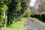 258C Matangi Road, Matangi, Hamilton - Carousel 30