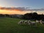 472 Wilton Collieries Road, Ngaruawahia - Carousel 3
