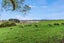209 Exelby Road, Burbush, Hamilton - Carousel 22