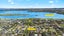 18 Lombardia Way, Karaka, Papakura - Carousel 38