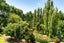 64 De Boer Lane, Kaiwaka - Carousel 32
