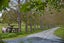 70 Spindler Road, Wellsford, Wellsford - Carousel 19
