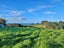32 Hay Road, Helena Bay, Hikurangi - Carousel 24