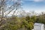 14 Claremont Street, Maori Hill, Dunedin - Carousel 20