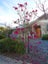 19 Laval Heights, Washington Valley, Nelson - Carousel 17