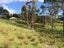 1742 South Head Road, Helensville - Carousel 1