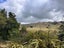 933 Makomako Road, Pahiatua - Carousel 9