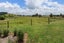 5 Bruce Road, Waerenga - Carousel 13