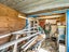16 Hall Street, Motunau, Greta Valley - Carousel 32