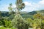 428 Sea View Road, Onetangi, Waiheke Island - Carousel 17