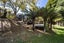 1465 State Highway 49, Ohakune, Ruapehu, Manawatu / Whanganui - Carousel 24