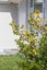 25 Hope Street, Shirley, Christchurch - Carousel 23